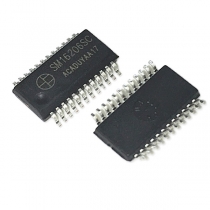 Module IC