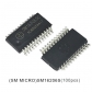 Module IC