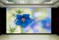 P5 simple LED Video Wall 960*960mm