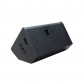 HSMS15 Multipurpose Monitor speaker
