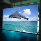 PH1.875 Indoor Rental LED Screen 480×480mm