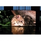 PH4 Indoor Rental LED Screen 1/16 Scan 512×512mm
